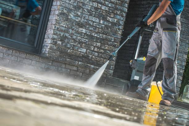Best Building Exterior Washing  in Lake Nacimiento, CA